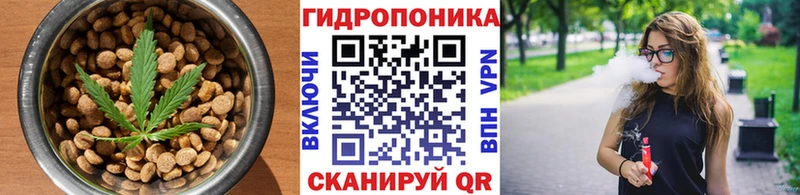 Cannafood конопля  Купить закладки  Плавск 