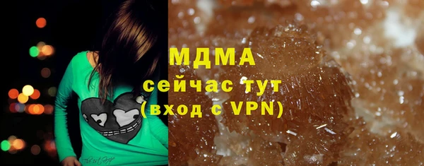 прущие грибы Бронницы