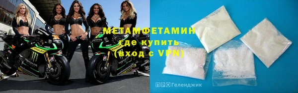 прущие грибы Бронницы