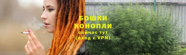 гидра Бородино