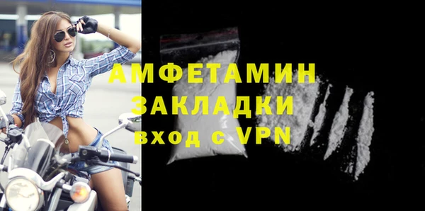 гидра Бородино