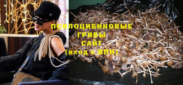 прущие грибы Бронницы