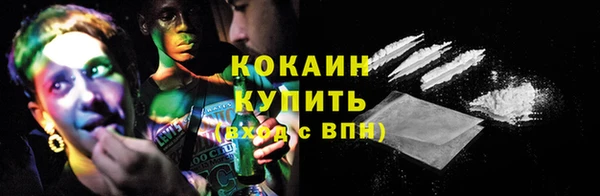 прущие грибы Бронницы
