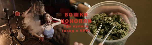 гидра Бородино