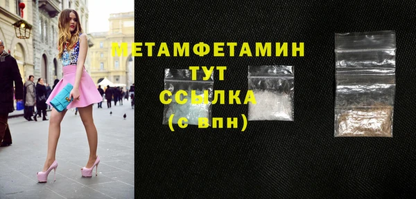 прущие грибы Бронницы