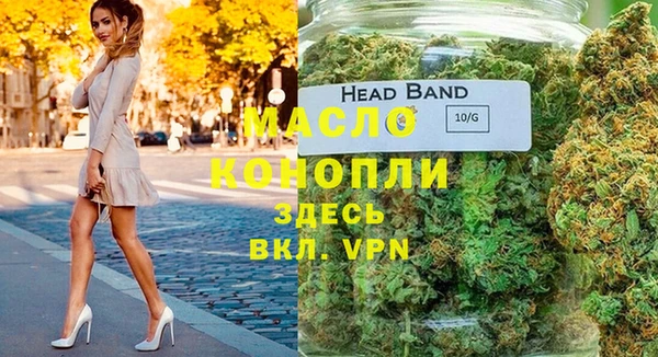 гидра Бородино