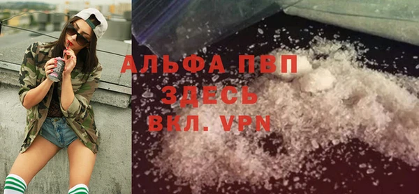 прущие грибы Бронницы