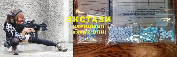 гидра Бородино