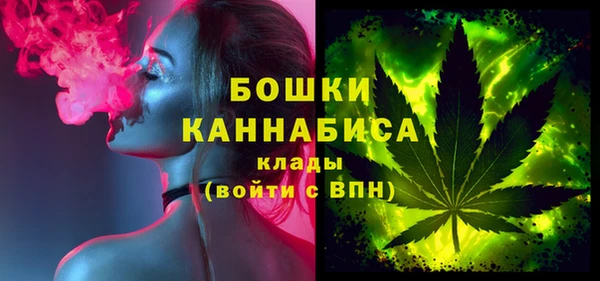 гидра Бородино