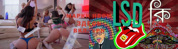 прущие грибы Бронницы