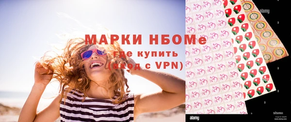 гидра Бородино
