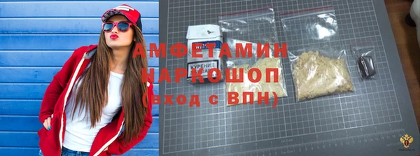 гидра Бородино